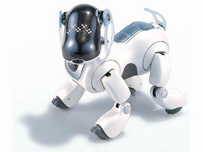    Aibo