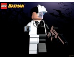 <b><font color='red'></font></b> 20 - LEGO Batman