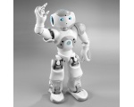 DGL robot - NAO Robot