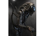 Alien () -  