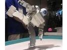 Роботы поражают зрителей демонстрацией боевых искусств