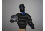 Punching Pro: робот-боксер