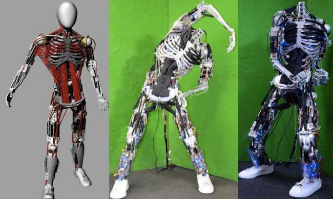 Kenshiro: робот с рекордным количеством мышц