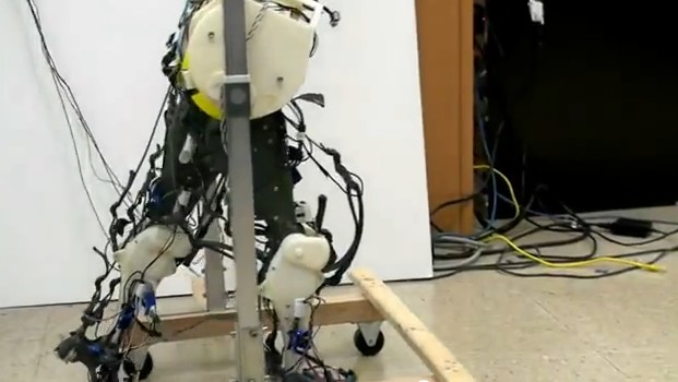 Роботизированные ноги повторяют движения человека