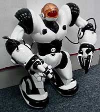 Robosapien, способный танцевать и брать предметы, наверное, самый выгодный робот по соотношению цена/возможности (фото с сайта wowwee.com).