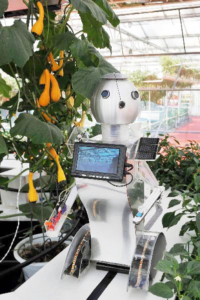 робот - огородник