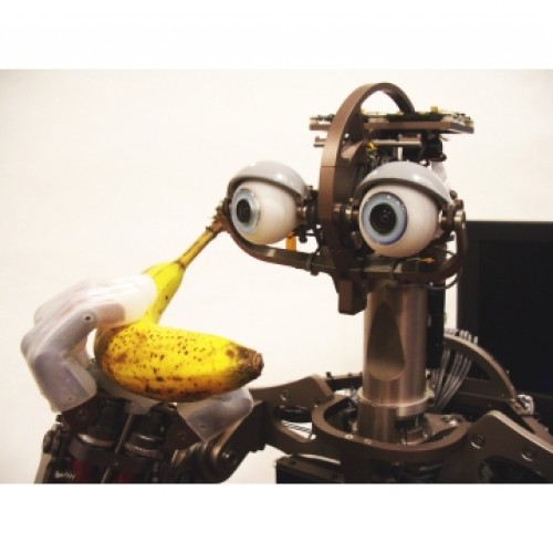 Robot Johnny Five - очередной робот-домохозяйка
