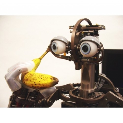 Robot Johnny Five -  -