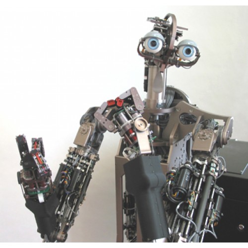 Domo: очередной робот-домохозяйка