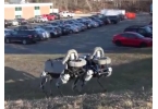   Boston Dynamics    