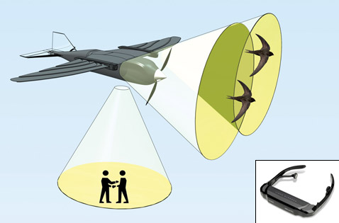 Несимметричное управление крыльями позволит машине делать резкие повороты (иллюстрация RoboSwift team).