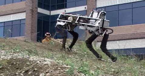 BigDog ,     .   ,   ( Boston Dynamics).