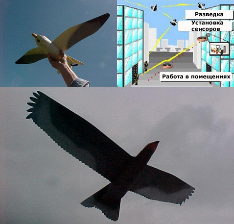 Theiss Aviation специализируются на всевозможных летательных аппаратах небольшого размера, но их конёк – механизмы, мимикрирующие под птиц. Они входят в так называемый <b>"Bird-Sized" UAV Project</b>. На снимках – опытные образцы робочайки и робогрифа, а также довольно топорная предполагаемая схема использования таких пташек в горячих точках (иллюстрации Theiss Aviation).