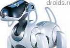 Sony    AIBO   QRIO