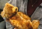 Робот-медвежонок готовится помогать врачам и пациентам
