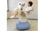 Новый робот-медвежонок носит людей на руках