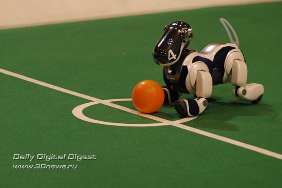 робот - пес AIBO играет в футбол