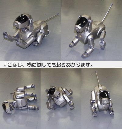 AIBO 