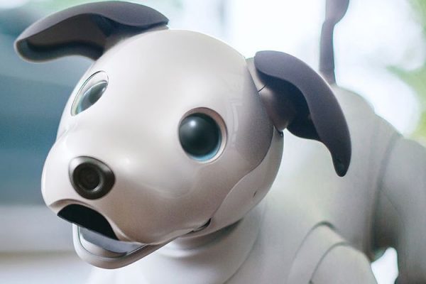 sony aibo 2018