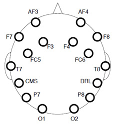 Схема размещения контактов на голове пользователя (иллюстрация Dartmouth College).