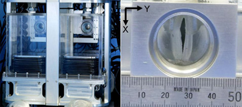 Лёгкие – слева, искусственная гортань – справа. Подробнее об их устройстве и о модели WF-4RIV в целом вы можете узнать в журнале IEEE Intelligent Robots and Systems (иллюстрация Waseda University).