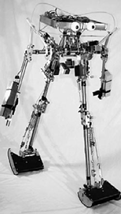Возможно, скоро железные 'гуманоиды', подобные этому роботу, созданному в Корнеллском университете (США), смогут идентифицировать себя как личность.Фото: livescience.com
