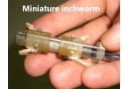 Инженеры разработали быстрого робота-червя