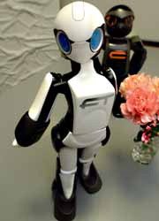 Стройная женщина-робот созданная компанией 'Robot Garage'