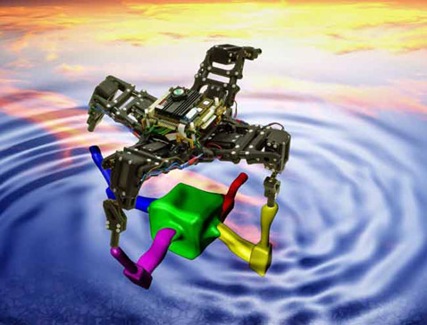 На этой иллюстрации модель робота, которую он строит сам для себя, показана в виде зеркального отражения (иллюстрация Science).