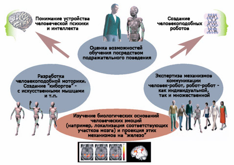    ""       . ,    ,            " "      ( Coradeschi et al./MEMBRANA).