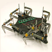 Учёные-робототехники, биологи и медики многих стран ищут способы создания искусственных мускулов для роботов и протезов. На снимке: один из роботов, искусственные мускулы которого построены из EAP (фото с сайта sri.com).