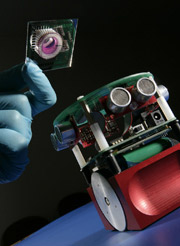 Новый британский робот с армией живых нейронов вместо мозгов (в руке исследователя — устройство для их размещения) можно назвать искусственно созданным живым существом. С известной натяжкой, разумеется (фото University of Reading).
