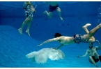 Исследователи создали большого робота-медузу