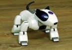 Genibo - -    Aibo