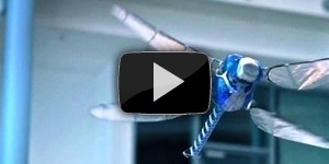 BionicOpter робот-стрекоза