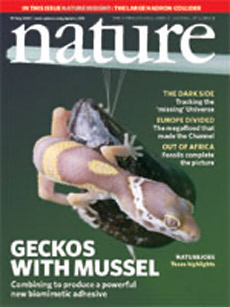 Дар геккона и талант мидий в одном журнале за прежнюю цену! (иллюстрация с сайта nature.com).