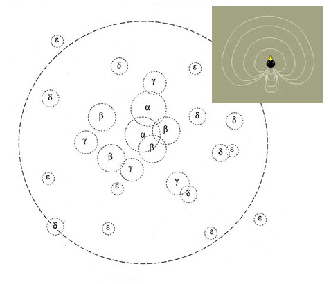 Токовище у <i>Centrocercus urophasianus</i> представляет собой круг диаметром метров в 10, в котором несколько самцов (альфа, бета и так далее по рангу) охраняют собственные территории (кружки внутри), где и демонстрируют свои вокальные данные (а также – странные телодвижения) куропаткам-невестам. На врезке: звуковые сигналы глухарей этого вида отличаются направленной диаграммой излучения (иллюстрации с сайта wikipedia.org и eve.ucdavis.edu).