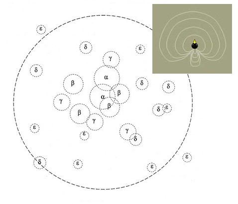   <i>Centrocercus urophasianus</i>       10,     (,      )    ( ),       (    ) -.  :          (   wikipedia.org  eve.ucdavis.edu).