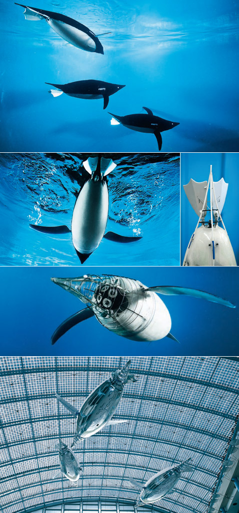  AquaPenguin  0,77 ,    9,6 .    5 /. AirPenguin ()   3,7 ,    1 ,      ,    .        ,     ( Festo).