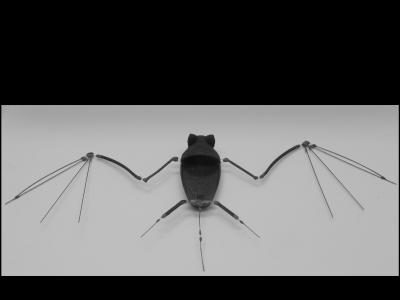 Создан прототип летающей робо-мыши