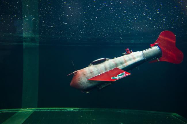 роботизированная робот-рыба плавает по реке