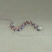 Как видим, проблема энергообеспечения червя-робота ещё не решена. До кишечника человека ему ещё ползти и ползти (изображение BIOLOCH).