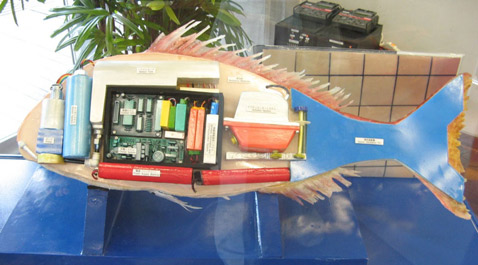 Заявлено, что робот-лещ обладает балластной системой, аналогичной тем, которые используются на подводных лодках для корректировки плавучести и глубины (фото с сайта robot.watch.impress.co.jp). 