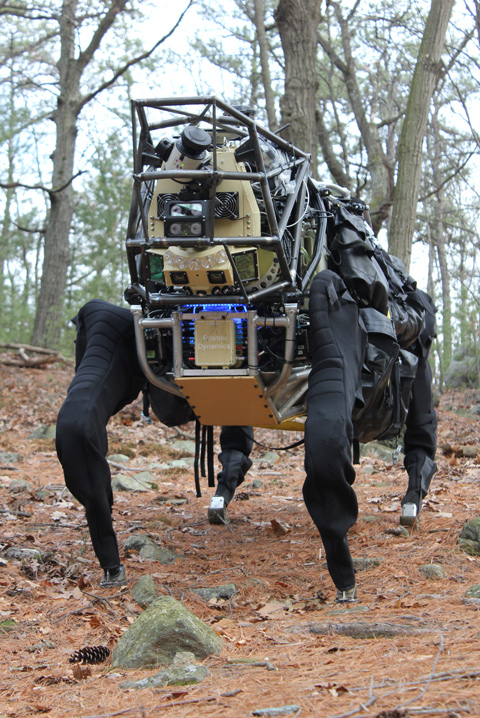 Пентагон получил первого робота-мула
