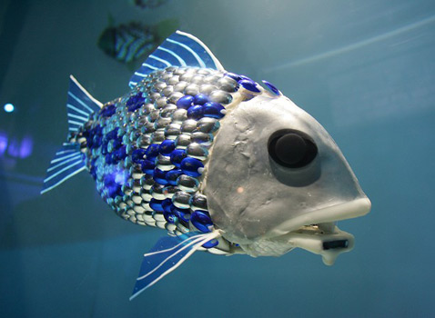 Одна из предыдущих рыб-роботов профессора Ху (фото с сайта bmt.org).