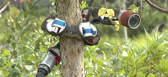 Змееподобный робот взобрался на дерево