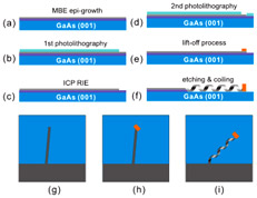   Helical Swimming Microrobot:              ( Institute of Robotics and Intelligent Systems/ETH Zürich).