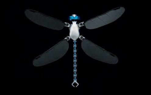 Стрекоза BionicOpter