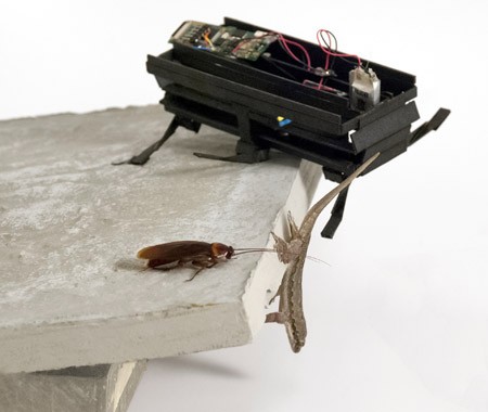 Действующая 3D модель искусственного таракана