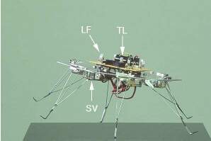 конструкция искусственного робота таракана